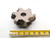INGERSOLL 5" O.D. COOLANT FACE MILL DM6Q-05R01 1 1/2 PILOT HOLDS 7 INSERTS 5.0 - NS7777BY6