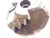ABOUT 3" - 5" O.D. CHAMFER FACE MILL V15544 1 1/4 PILOT 1/2 KEY HOLDS 12 INSERTS - NS7778BY6