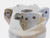 WALTER 80mm O.D. FACE MILL F4030.B27.080.Z06.02 27mm PILOT 6 POCKETS P23696-2.0 - JG6210BL5