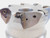 WALTER 4" O.D. FACE MILL F4030.UB38.102.Z07.02 1 1/2 PILOT 7 POCKETS P23696-2.0 - JG6229BL5