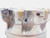 ISCAR 4" OD FACE MILL FFQ4 D4.0-9-1.50-12-07AP 1 1/2 PILOT 9 POCKETS SOMT 1205 - JG6261BL5