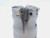 2" O.D. COOLANT THRU FACE MILL 3/4 PILOT 5/16 KEY HOLDS 4 INSERTS 2.0 INDEXABLE - JG6267BL5