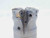 2" O.D. COOLANT THRU FACE MILL 3/4 PILOT 5/16 KEY HOLDS 4 INSERTS 2.0 INDEXABLE - JG6267BL5