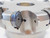 SECO 5" O.D. FACE MILL R220.21-05.00-ON09-8A 1 1/2 PILOT 8 POCKETS ON..0905 5.0 - JG6311BL5