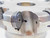 SECO 5" O.D. FACE MILL R220.21-05.00-ON09-8A 1 1/2 PILOT 8 POCKETS ON..0905 5.0 - JG6311BL5