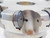 SECO 5" O.D. FACE MILL R220.21-05.00-ON09-8A 1 1/2 PILOT 8 POCKETS ON..0905 5.0 - JG6311BL5