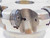 SECO 5" O.D. FACE MILL R220.21-05.00-ON09-8A 1 1/2 PILOT 8 POCKETS ON..0905 5.0 - JG6311BL5