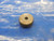 .2672 CLASS X CARBIDE MASTER PLAIN BORE RING GAGE .2813 -.0141 9/32 6.787 mm