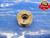 1 13/16 32 NS 3 THREAD PLUG GAGE 1.8125 NO GO ONLY P.D. = 1.7964 1 13/16-32 N.S.