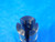 HARDINGE #10 COLLET ROUND SMOOTH SIZE 3/8 RD SM .375 BROWN & SHARPE USA STOP - AR5664RDT