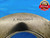 2.751 12 NS 2 THREAD RING GAGES 2.7510 GO NO GO P.D.'S = 2.6969 & 2.6901 CHECK - DW15749AM2