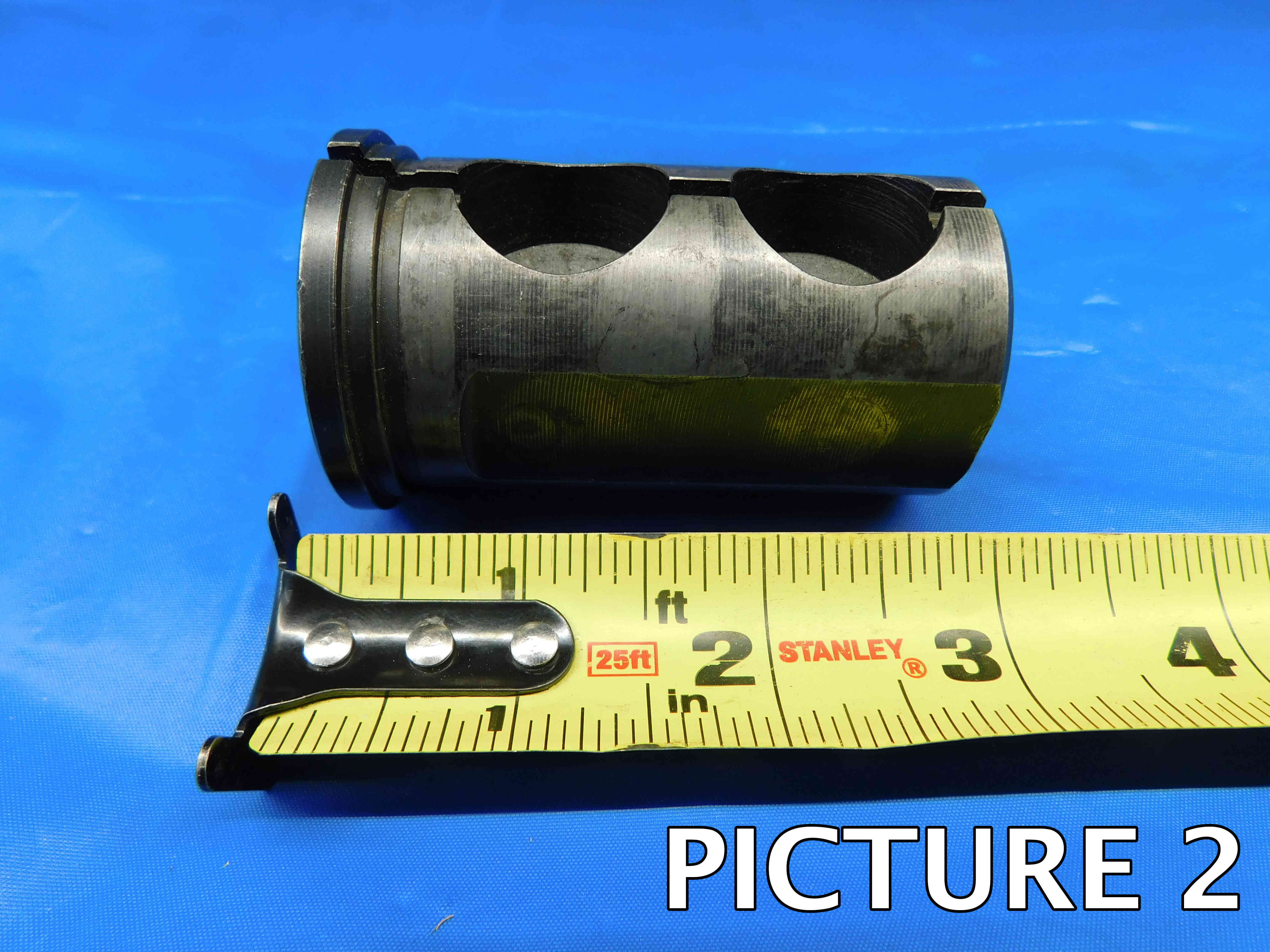 bush-pic-1b.jpg bush-pic-1b.jpg