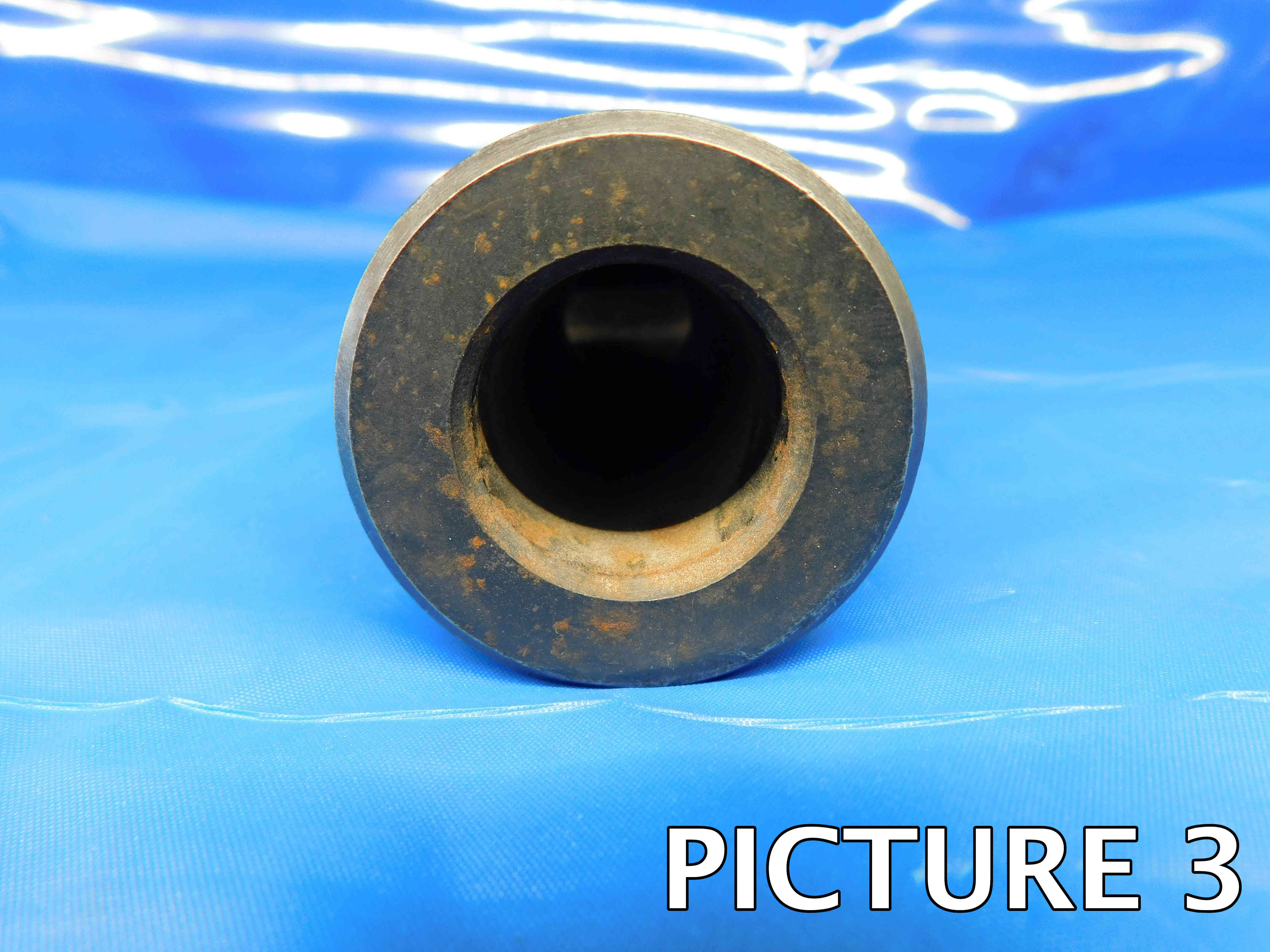 bush-pic-2c.jpg bush-pic-2c.jpg