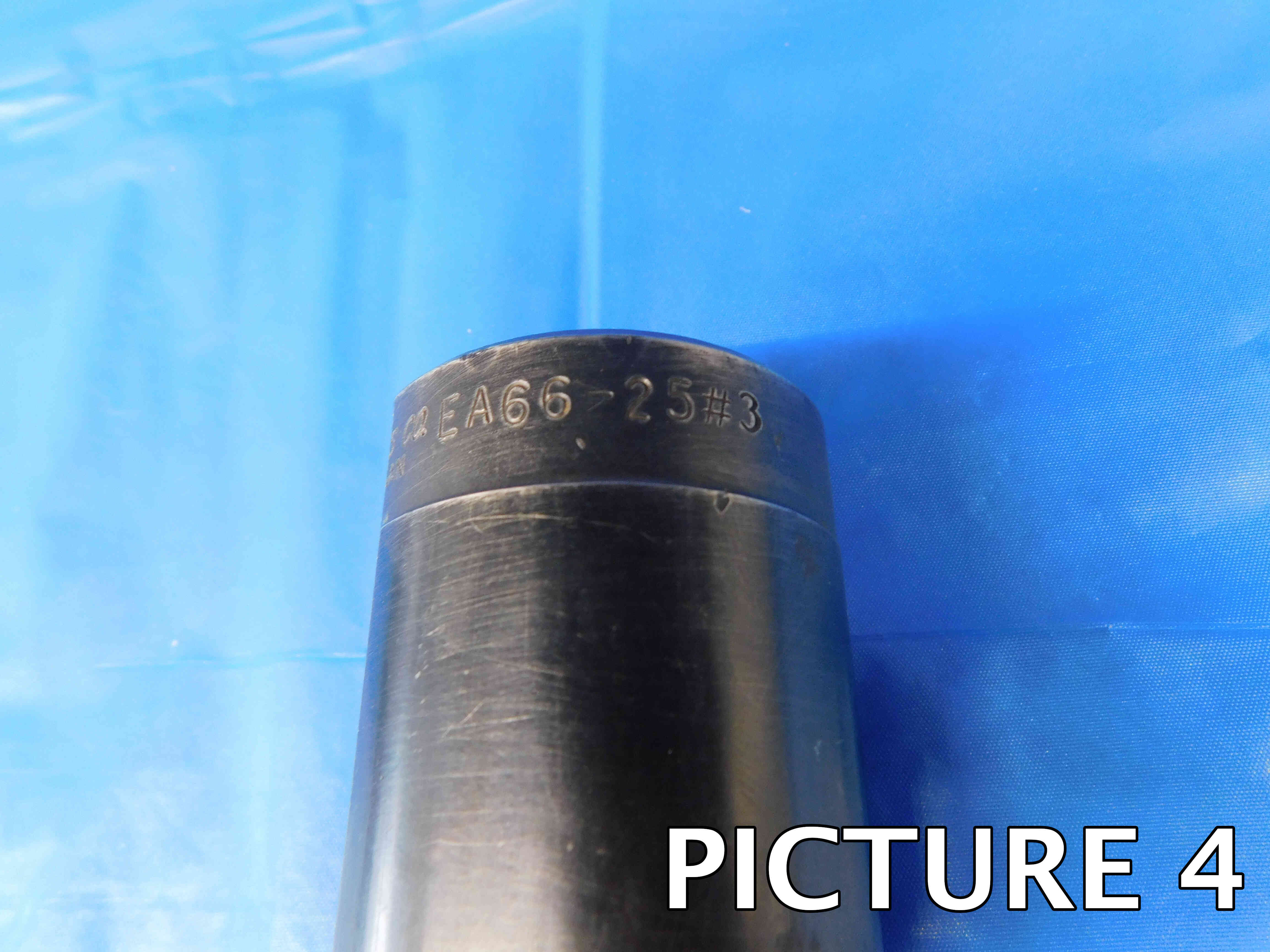 bush-pic-2d.jpg bush-pic-2d.jpg