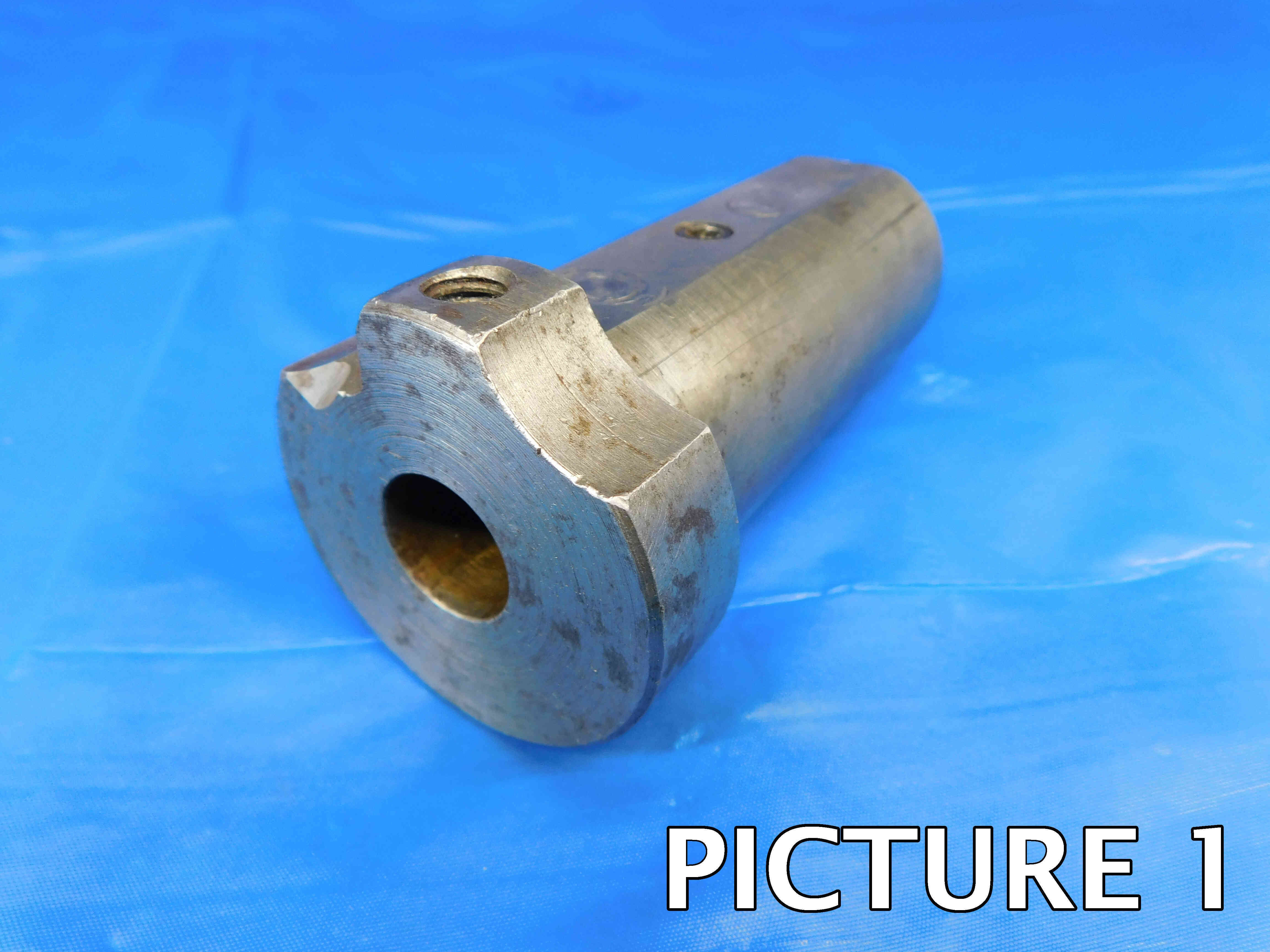 bush-pic-3a.jpg bush-pic-3a.jpg