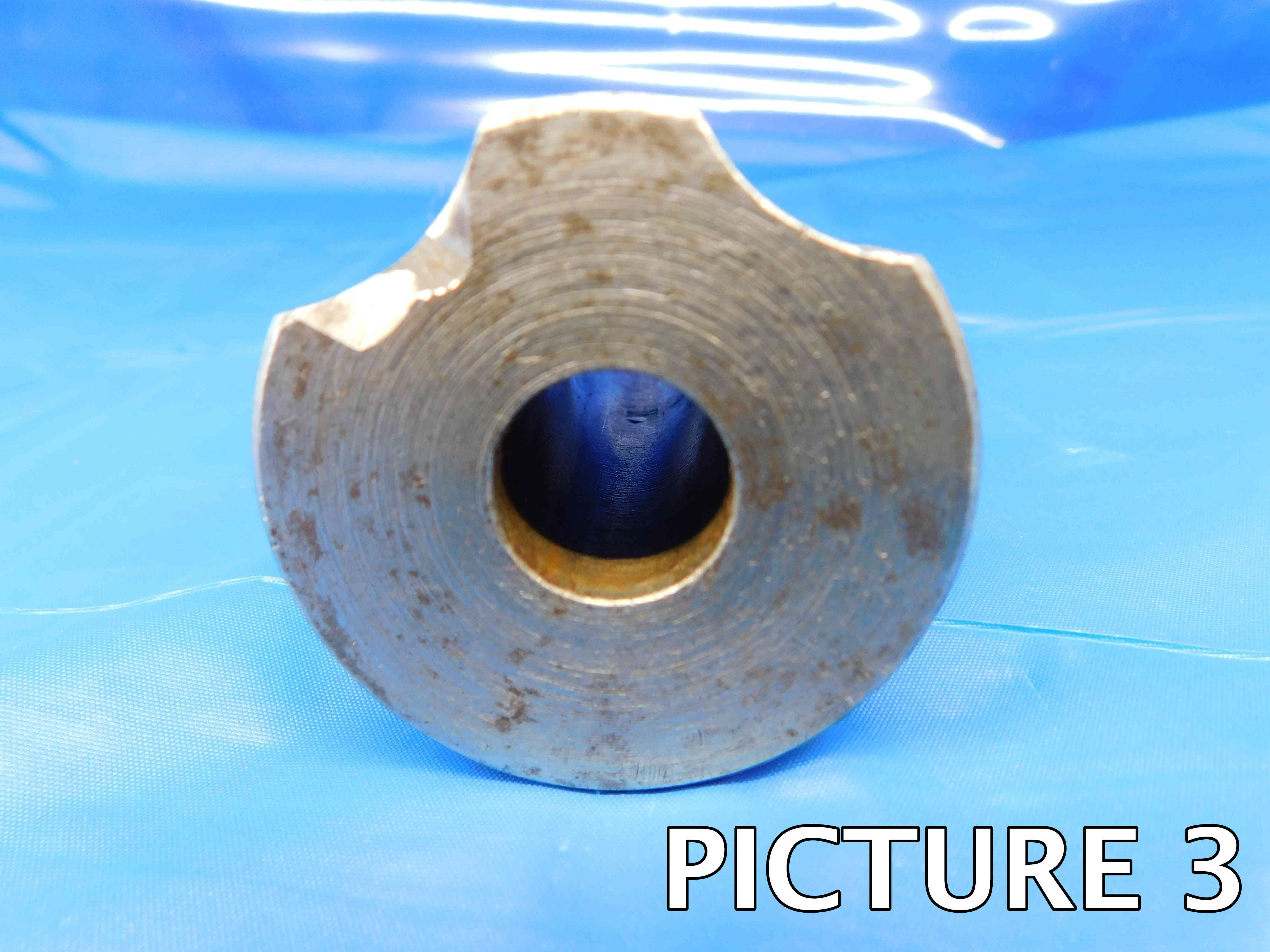 bush-pic-3c.jpg bush-pic-3c.jpg