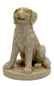 Sitting Golden Retriever on Base