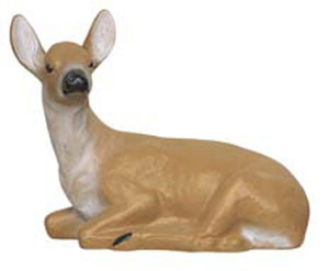 Large Laying Doe
