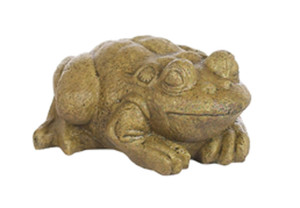 Medium Bullfrog
