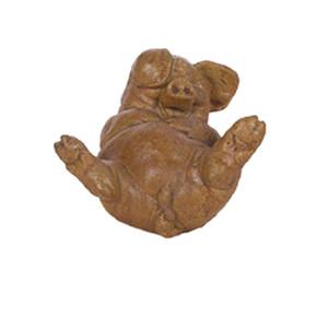 Pig Laughing on Back