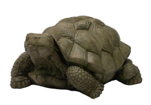 Extra Large Turtle