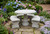 Round Table Set