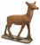 Life Size Doe