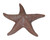 8 Inch Star Fish