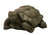 Extra Large Turtle