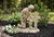 Kneeling Soldier at Cross