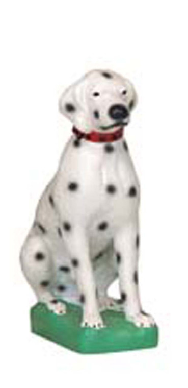 Dalmation