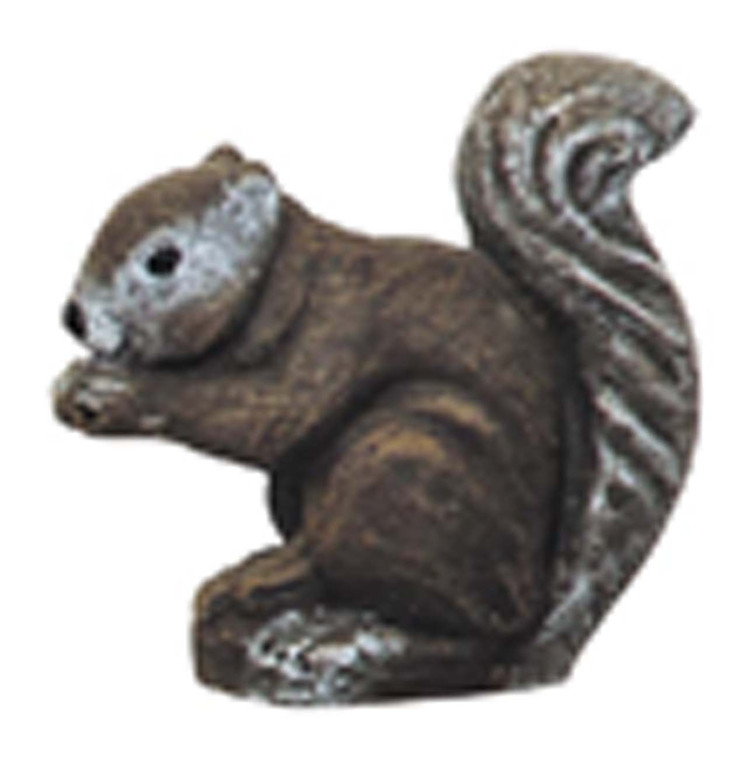 Small Squirrel