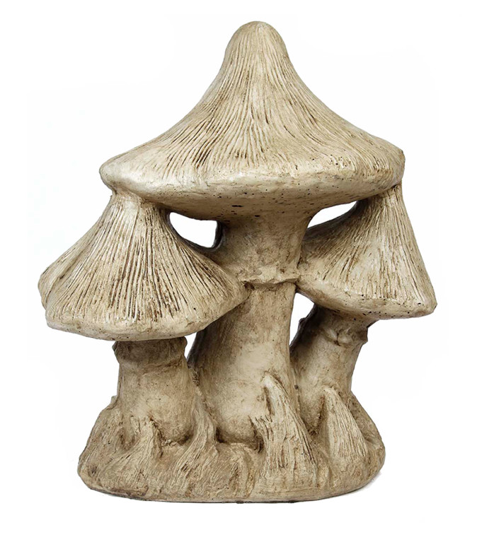 Large Pointed Mushroom