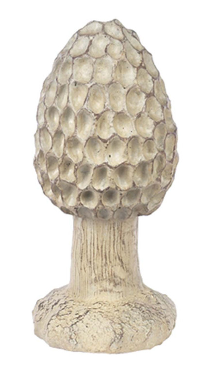 Large Morel Mushroom