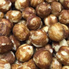 Shelled (no shell) natural raw hazelnuts.