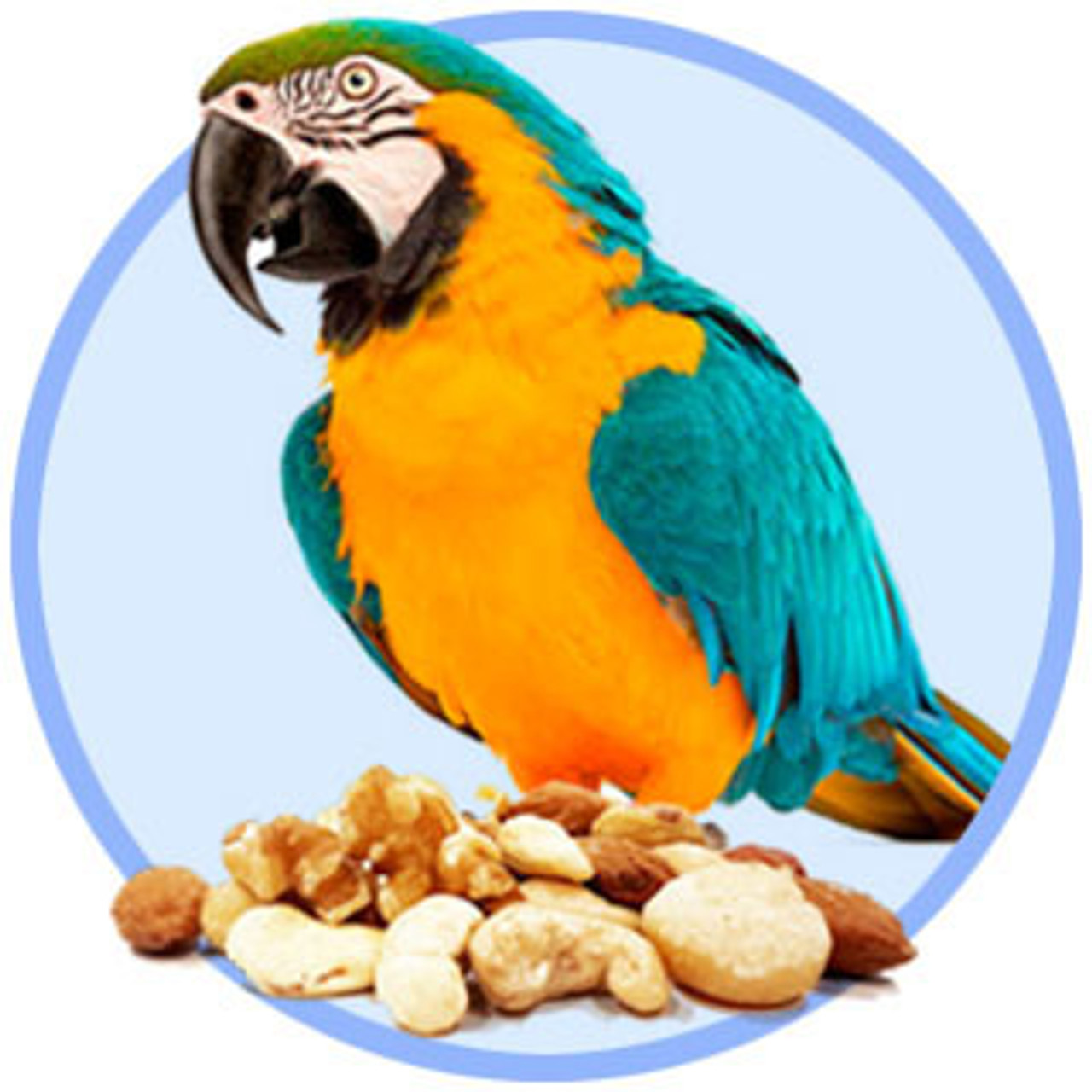 Nuts For Parrots & Macaws