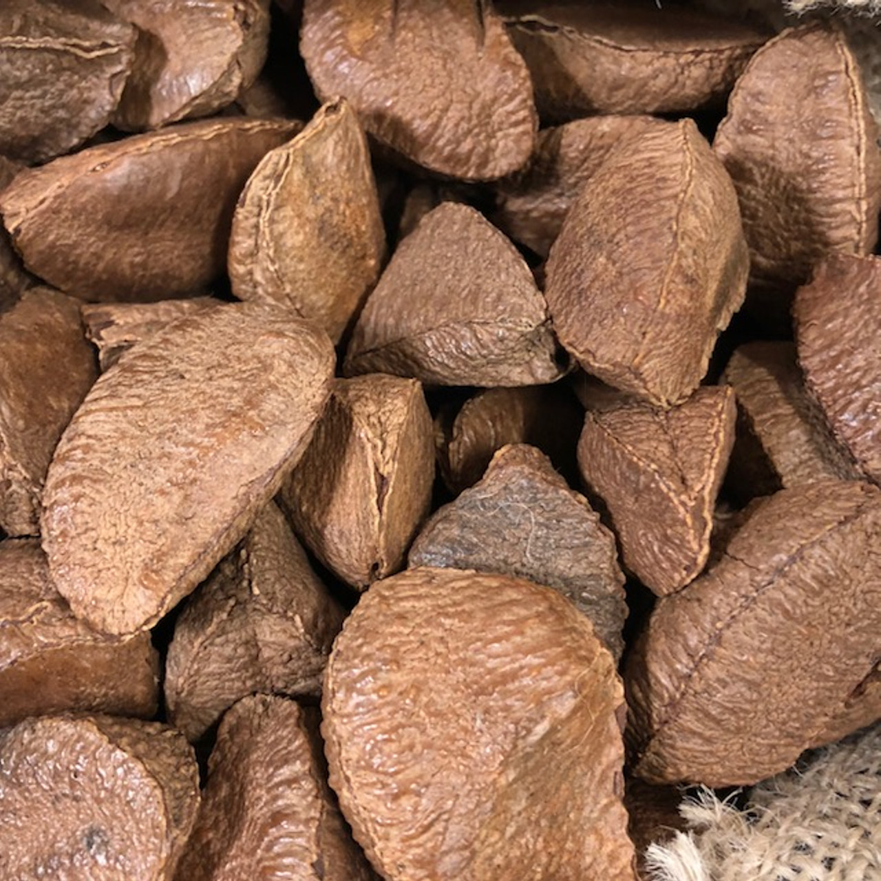 raw brazil nuts in shell