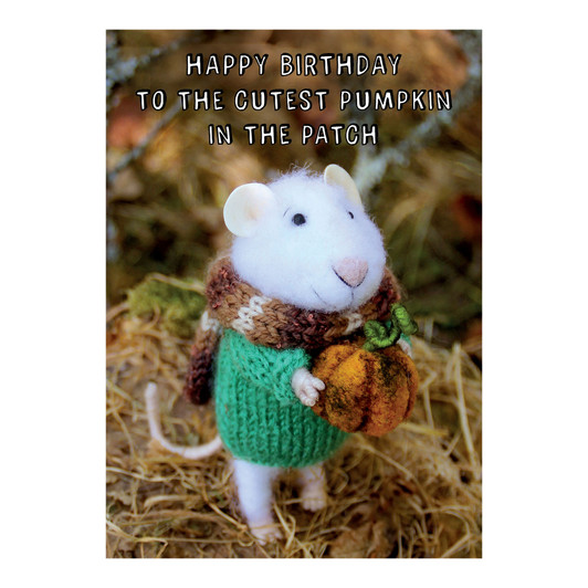 SQ009 – Tiny Squee Mousies - Happy Birthday - To The Cutest Pumpkin...