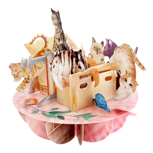 PS088 – Pirouettes - Purrrfect Parcel