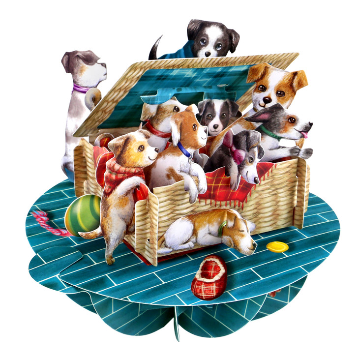 PS062 – Pirouettes - Puppies In A Basket