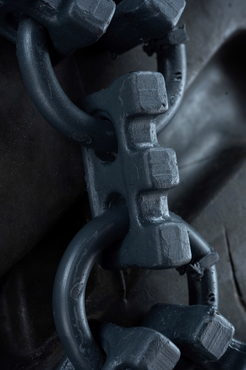 506051 Trygg Lynx Loader/Grader Chain 20 5 25 Standard Quality