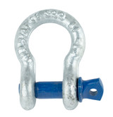 SAC250 - 1/4" Alloy Screw Pin Shackle