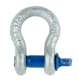 SAC312 - 5/16" Alloy Screw Pin Anchor Shackle