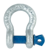 SAC375 - 3/8" Alloy Screw Pin Anchor Shackle