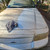 Exterior car cleaning