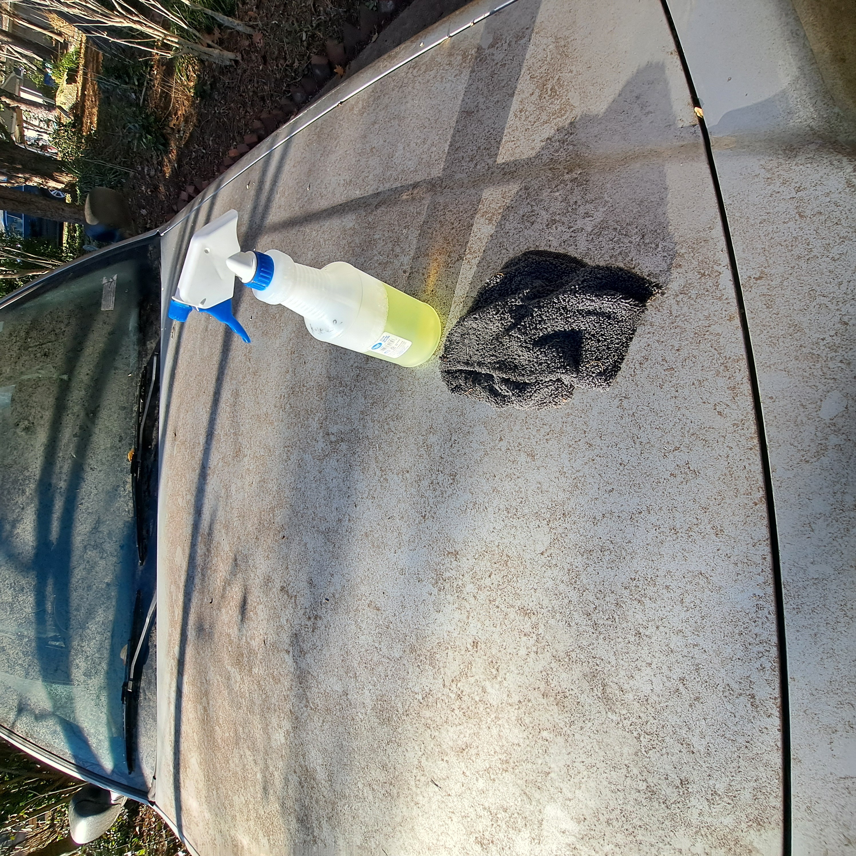 Alt Text for Image 1