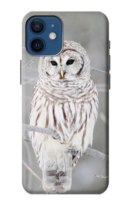 S1566 Snowy Owl White Owl Funda Carcasa Case para iPhone 12 mini