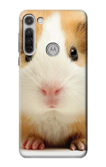S1619 Cute Guinea Pig Funda Carcasa Case para Motorola Moto G8