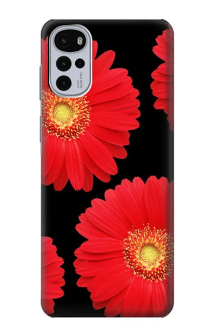 S2478 Red Daisy flower Funda Carcasa Case para Motorola Moto G22