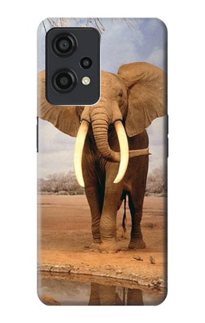 S0310 African Elephant Funda Carcasa Case para OnePlus Nord CE 2 Lite 5G